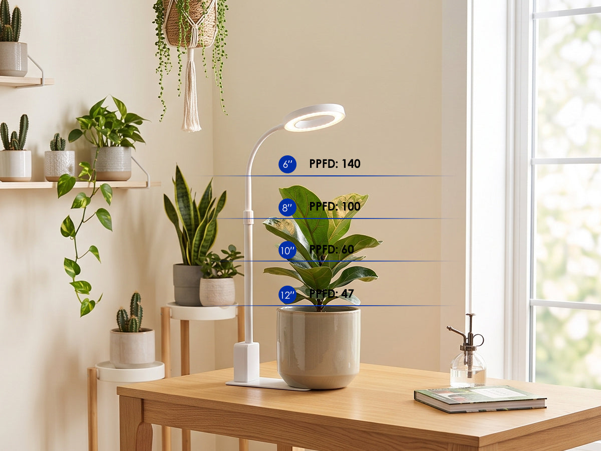 GLOWRIUM® G4 12W Smart LED Desktop Grow Light for Small Indoor