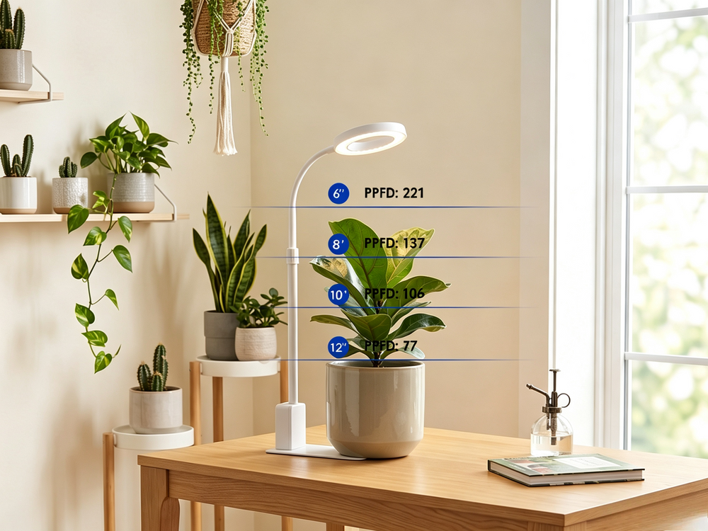 60° Beam Angle with High PAR Output