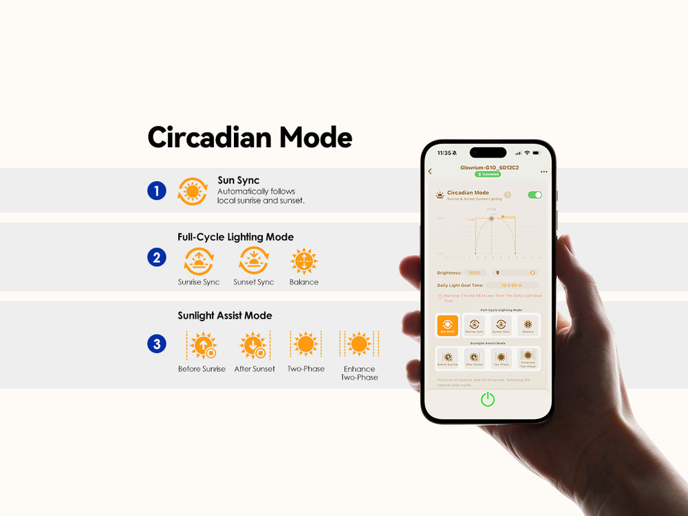 Circadian Mode - Working Principle