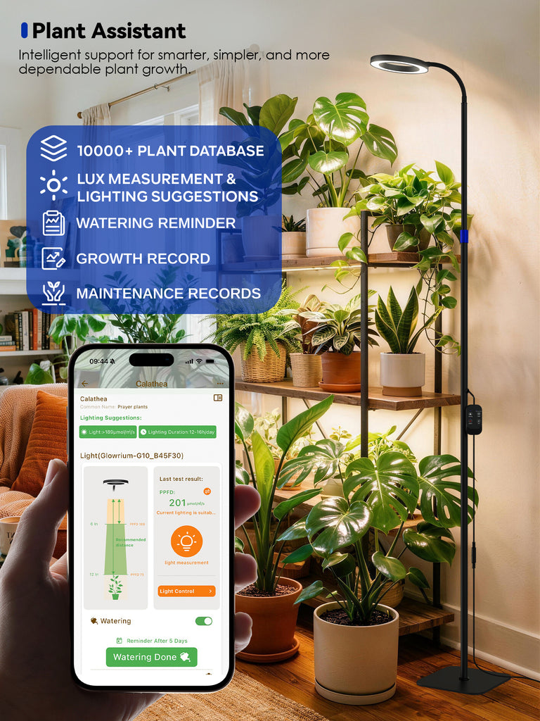 GLOWRIUM® G10 Smarte Pflanzenlampe für Zimmerpflanzen, Vollspektrum Standleuchte mit App-Steuerung, Auto-Timer, Teleskop-Verstellung für große Pflanzen