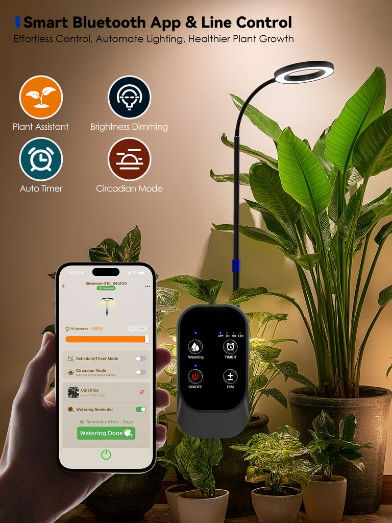 GLOWRIUM® G10 Smarte Pflanzenlampe für Zimmerpflanzen, Vollspektrum Standleuchte mit App-Steuerung, Auto-Timer, Teleskop-Verstellung für große Pflanzen