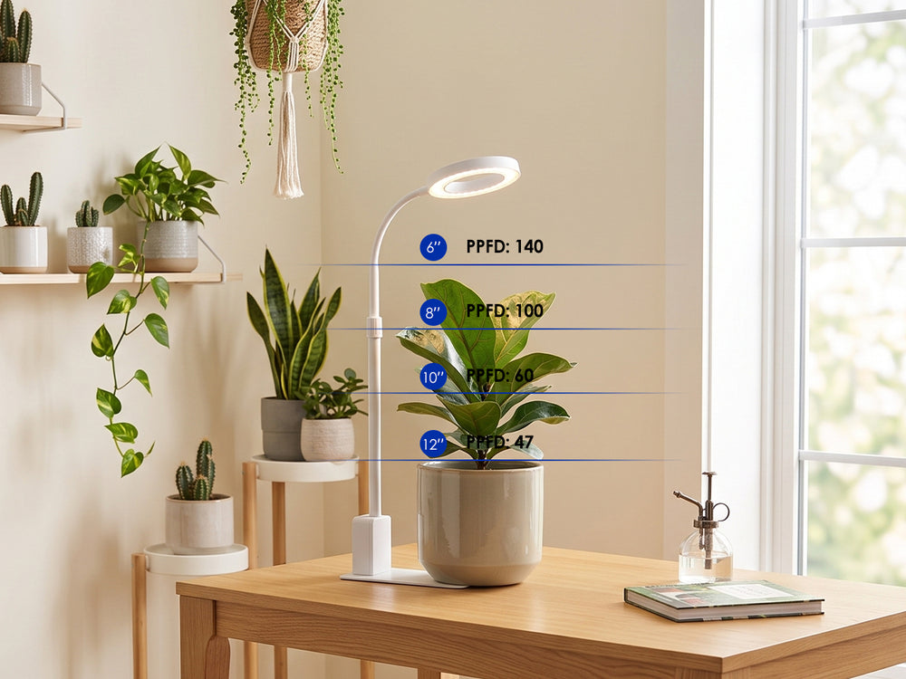 120° Beam Angle with High PAR Output