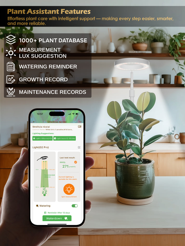 GLOWRIUM® G4 8W Intelligente LED-Pflanzenlampe – Vollspektrum-Pflanzenlampe für den Innenbereich mit App-Steuerung, einstellbarer Höhe, Dual-Timer, Pflanzenpflege-Assistent