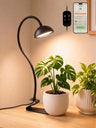 GLOWRIUM G8 10W smart LED desktop grow light in black with gooseneck clamp and app control for indoor plants