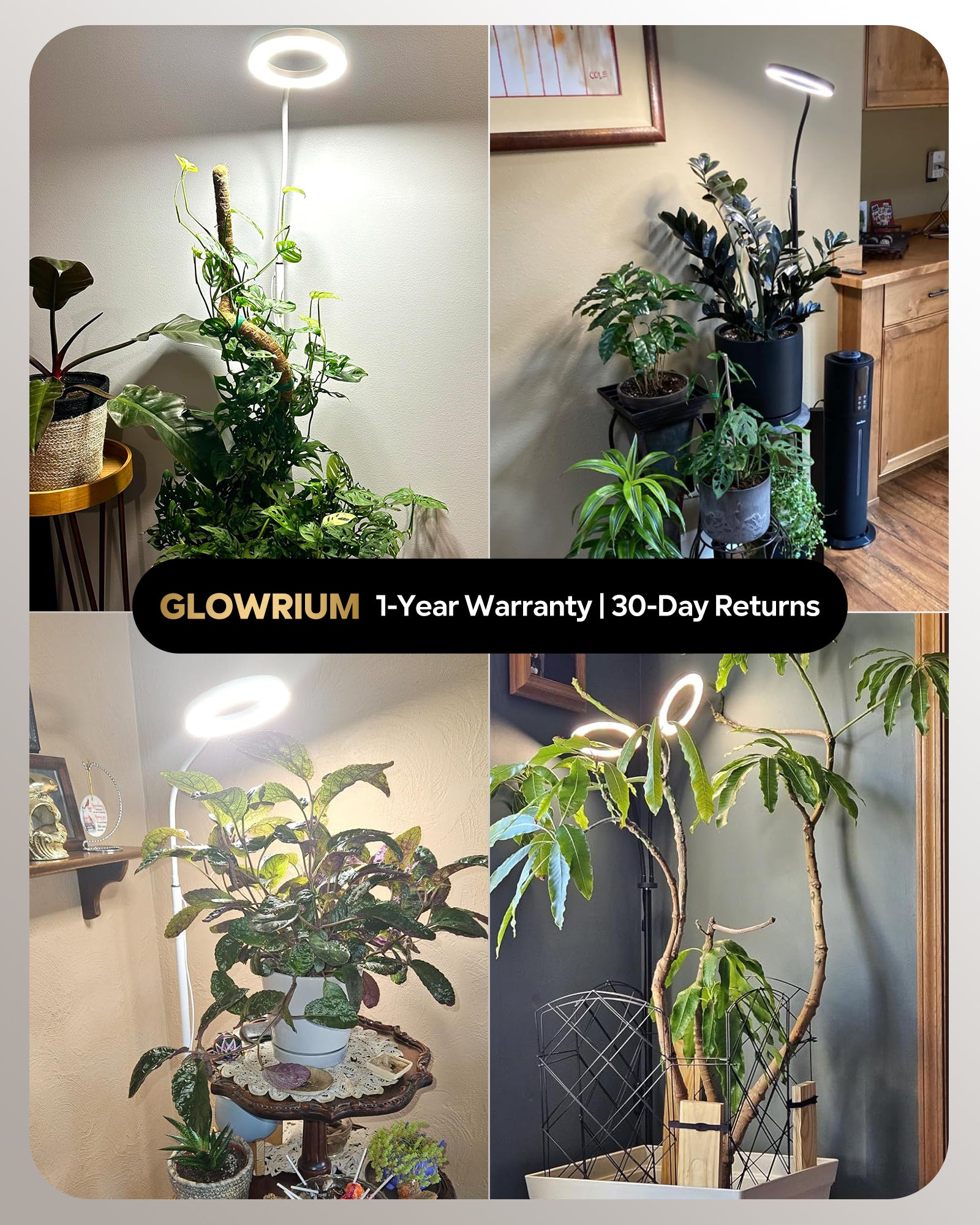 REAL LEDグロウライト 56個搭載 Amazon.com: GLOWRIUM Grow Lights for Indoor Plants, Full Spectrum