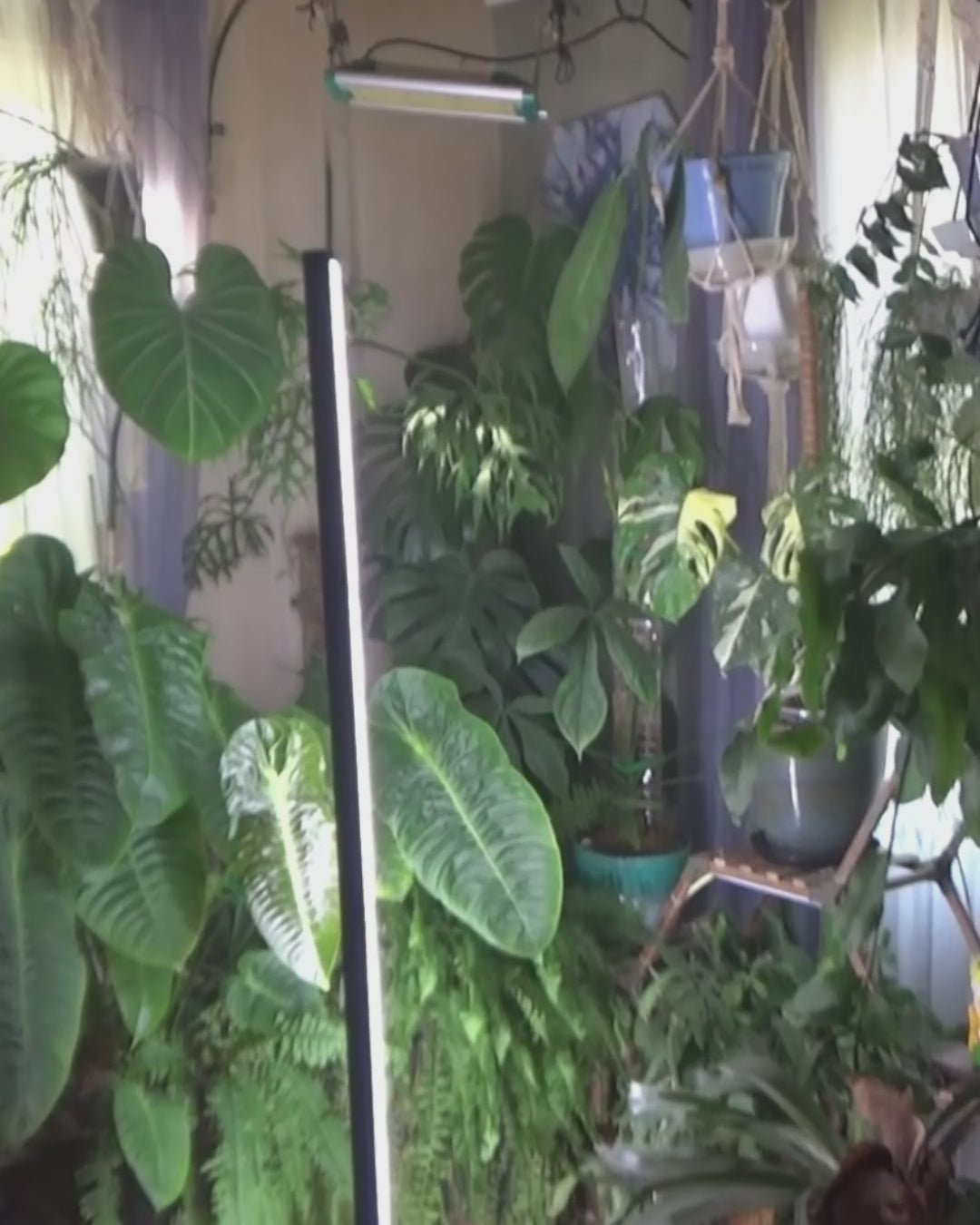 Full Spectrum Plant Grow Lights 30W(45 in)with Auto-Timer Hanging and Standing Wide Area Coverage in Indoor Plants-G3