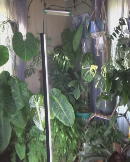 Full Spectrum Plant Grow Lights 30W(45 in)with Auto-Timer Hanging and Standing Wide Area Coverage in Indoor Plants-G3