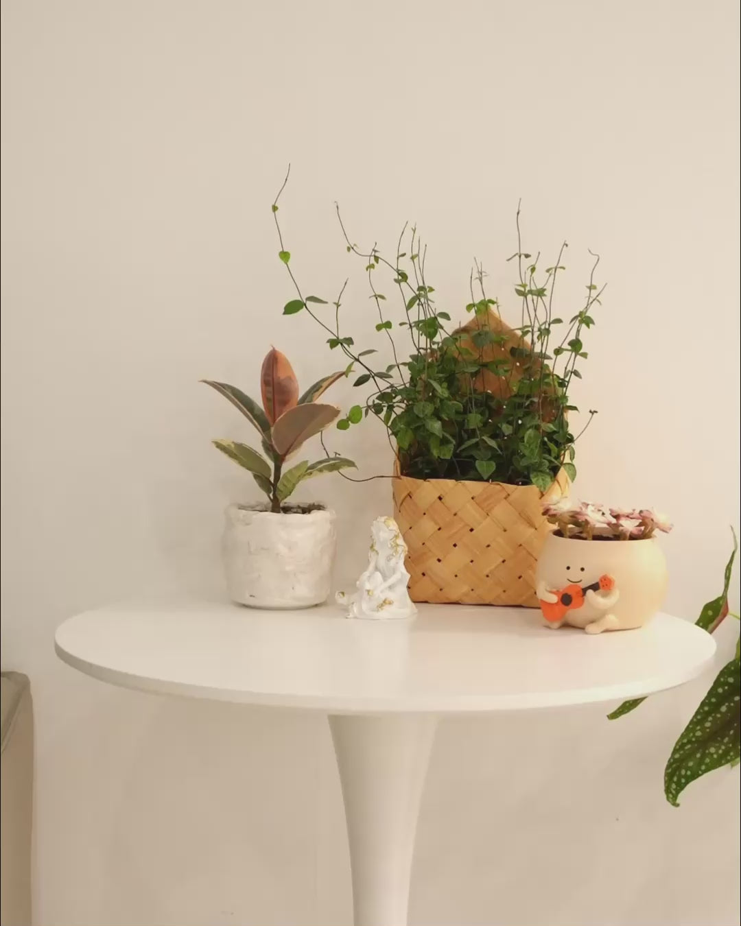 GLOWRIUM G5 | 48W Smart Full Spectrum LED Floor Grow Light