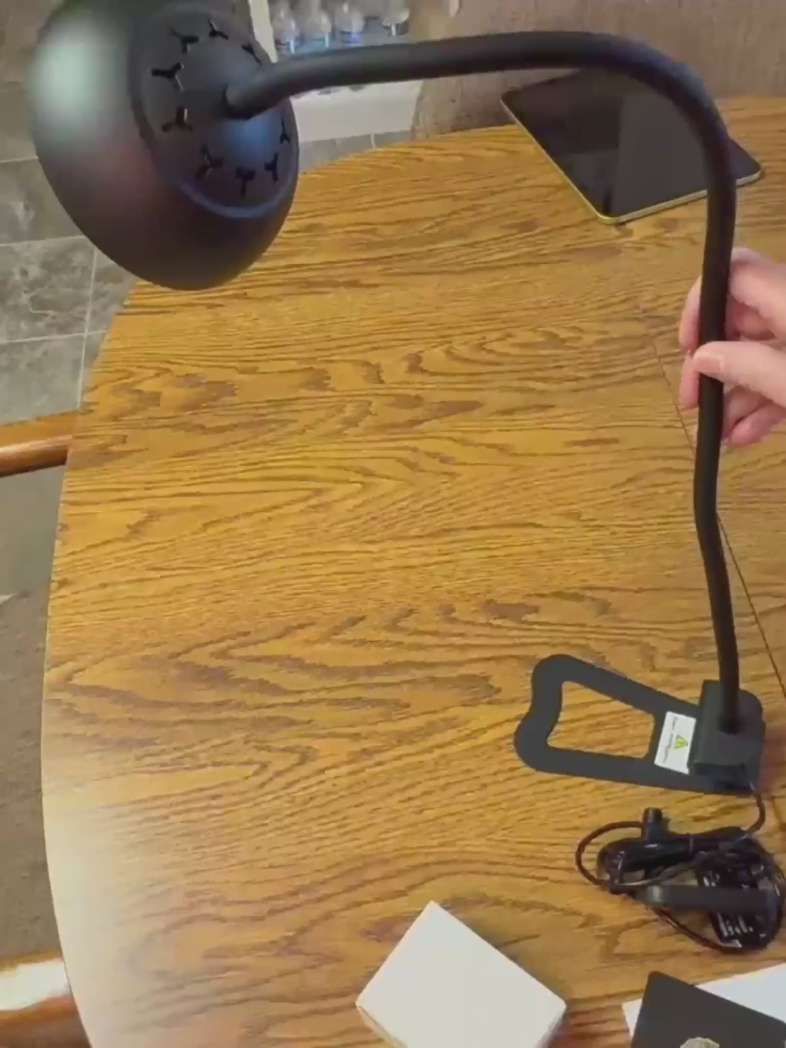 Video demonstration of Glowrium G8 10W smart desktop grow light showcasing hands-on setup, flexible gooseneck adjustment, and real-time plant care on a desk