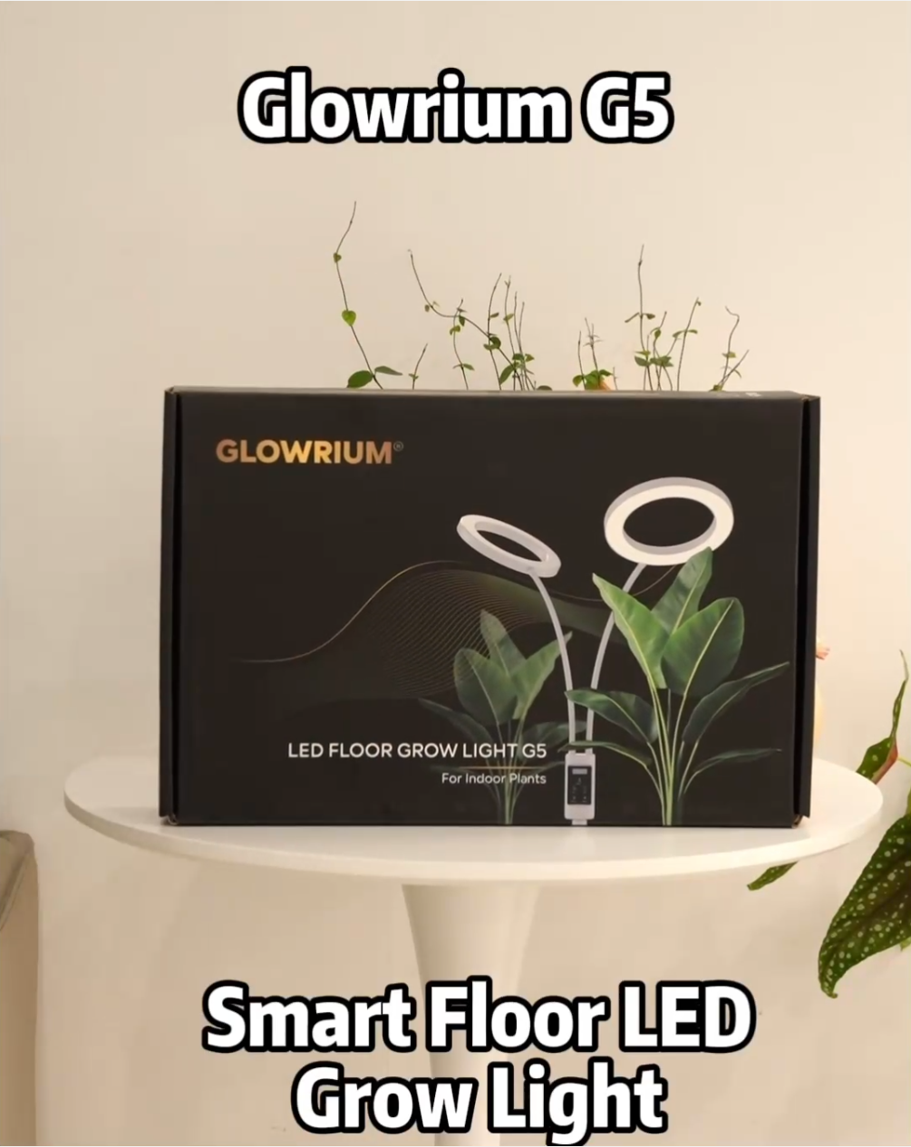 soligt led plant grow light battery Smart Floor LED Grow Light 48W – Glowrium